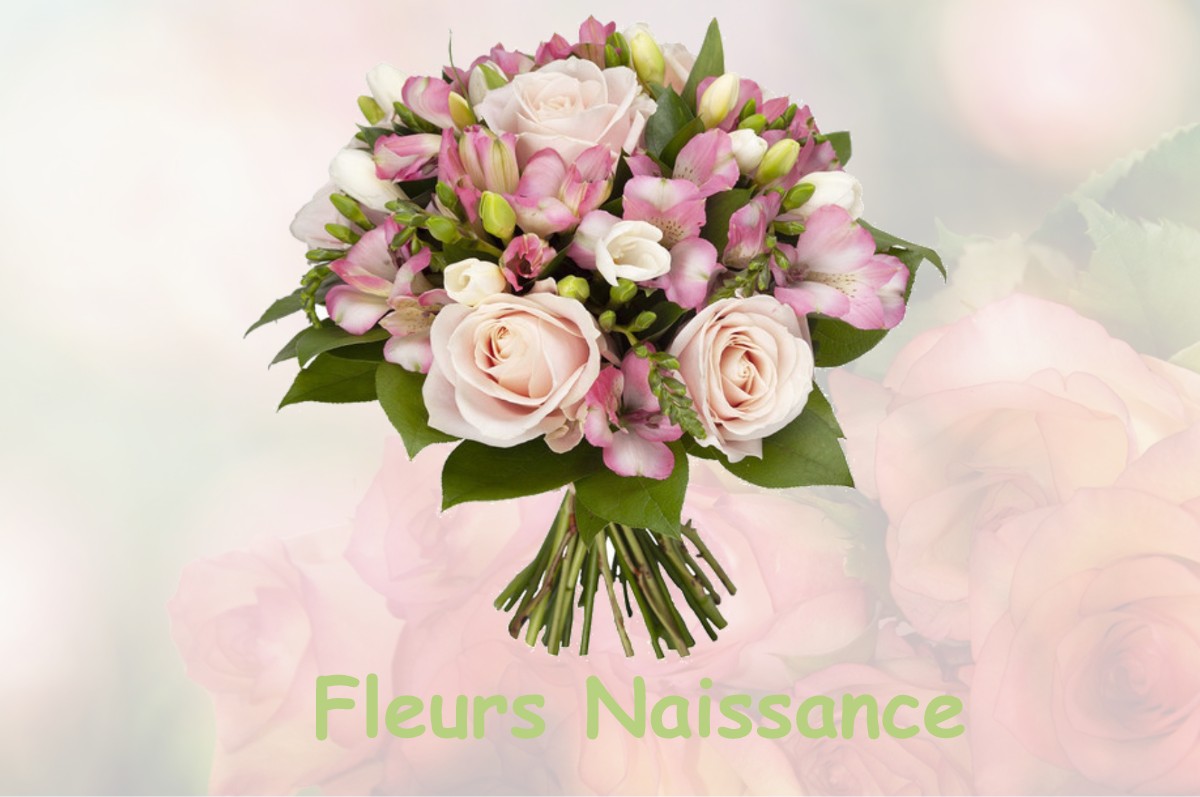 fleurs naissance PORCIEU-AMBLAGNIEU