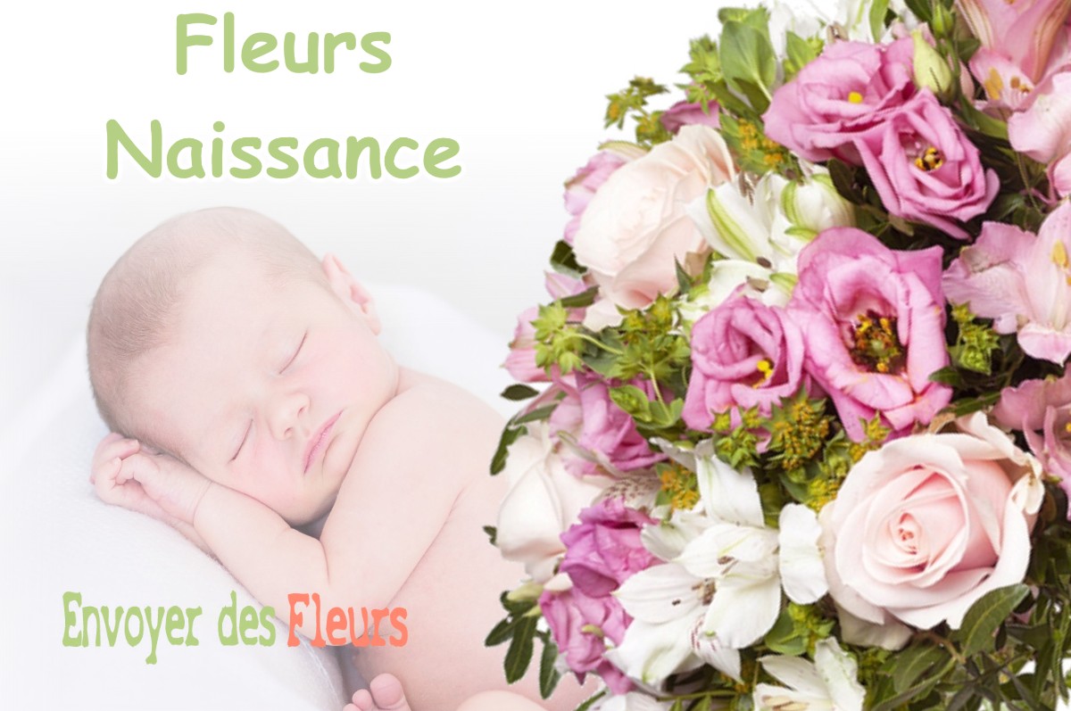 lIVRAISON FLEURS NAISSANCE à PORCIEU-AMBLAGNIEU